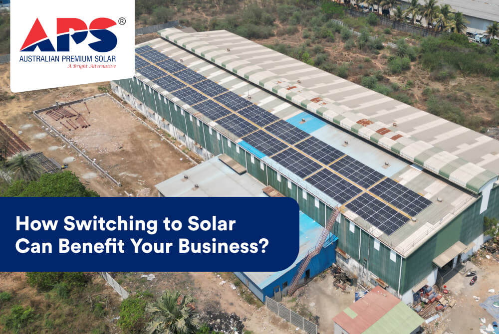 How Switching to Solar Can Benefit Your Business