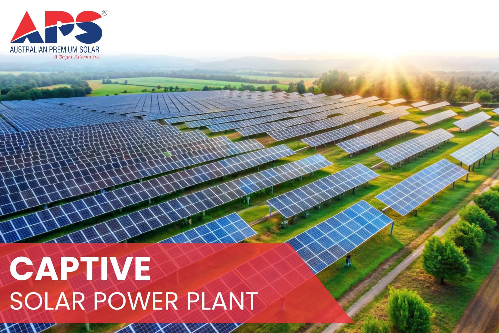 Understanding CPP: Exploring the Functions of Captive Solar Power Plants in Industries | Australian Premium Solar